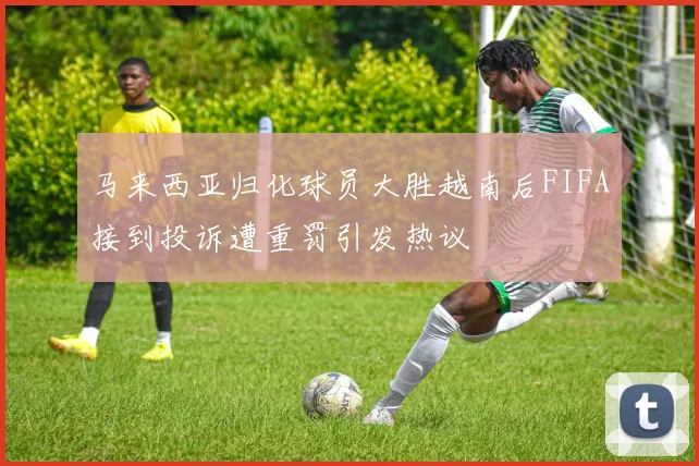 马来西亚归化球员大胜越南后FIFA接到投诉遭重罚引发热议