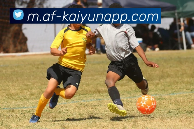 开云体育平台生态图