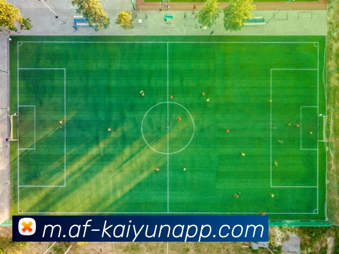 开云体育APP 封面图